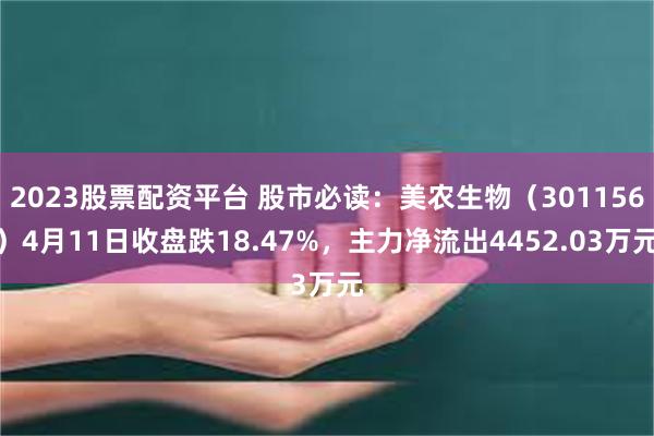 2023股票配资平台 股市必读：美农生物（301156）4月11日收盘跌18.47%，主力净流出4452.03万元