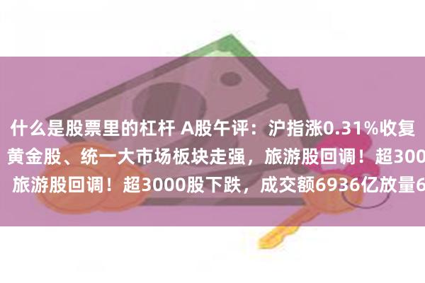 什么是股票里的杠杆 A股午评：沪指涨0.31%收复3300点创指跌0.98%，黄金股、统一大市场板块走强，旅游股回调！超3000股下跌，成交额6936亿放量645亿