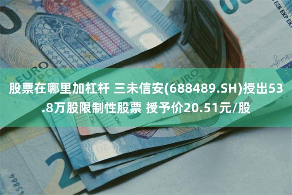 股票在哪里加杠杆 三未信安(688489.SH)授出53.8万股限制性股票 授予价20.51元/股