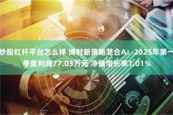 炒股杠杆平台怎么样 博时新策略混合A：2025年第一季度利润77.03万元 净值增长率1.01%