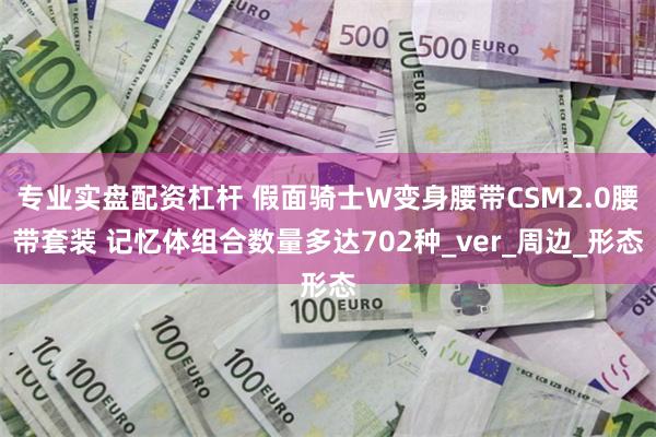 专业实盘配资杠杆 假面骑士W变身腰带CSM2.0腰带套装 记忆体组合数量多达702种_ver_周边_形态