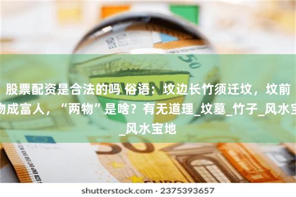 股票配资是合法的吗 俗语：坟边长竹须迁坟，坟前两物成富人，“两物”是啥？有无道理_坟墓_竹子_风水宝地