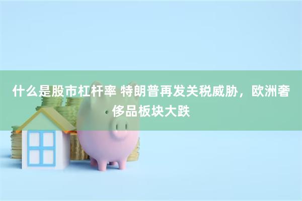 什么是股市杠杆率 特朗普再发关税威胁，欧洲奢侈品板块大跌