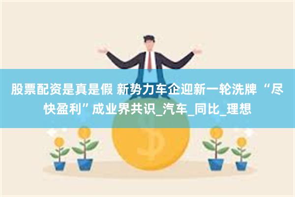 股票配资是真是假 新势力车企迎新一轮洗牌 “尽快盈利”成业界共识_汽车_同比_理想