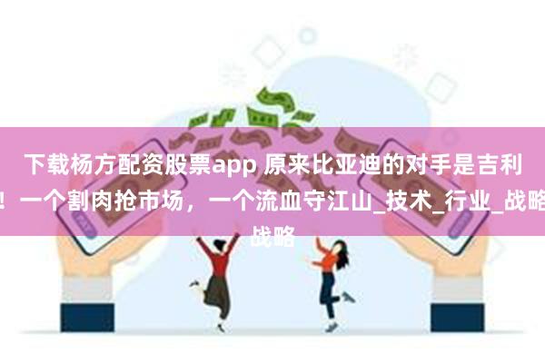 下载杨方配资股票app 原来比亚迪的对手是吉利！一个割肉抢市场，一个流血守江山_技术_行业_战略
