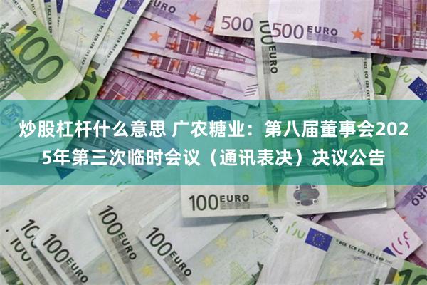 炒股杠杆什么意思 广农糖业：第八届董事会2025年第三次临时会议（通讯表决）决议公告