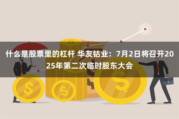 什么是股票里的杠杆 华友钴业：7月2日将召开2025年第二次临时股东大会