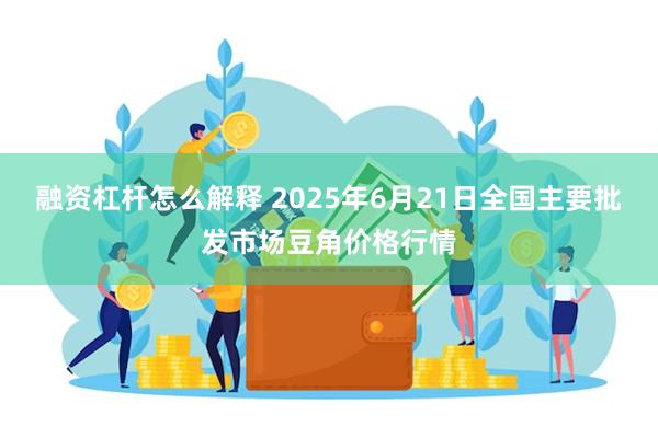 融资杠杆怎么解释 2025年6月21日全国主要批发市场豆角价格行情