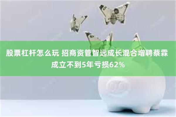 股票杠杆怎么玩 招商资管智远成长混合增聘蔡霖 成立不到5年亏损62%