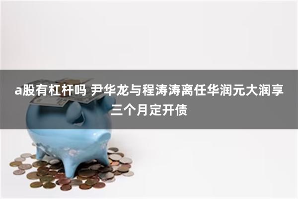 a股有杠杆吗 尹华龙与程涛涛离任华润元大润享三个月定开债