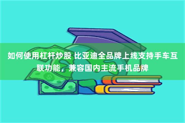 如何使用杠杆炒股 比亚迪全品牌上线支持手车互联功能，兼容国内主流手机品牌