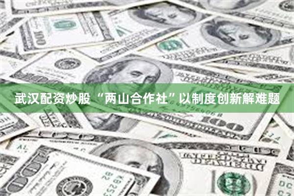 武汉配资炒股 “两山合作社”以制度创新解难题