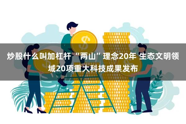 炒股什么叫加杠杆 “两山”理念20年 生态文明领域20项重大科技成果发布